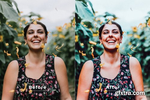 Felman Desktop and Mobile Lightroom Preset