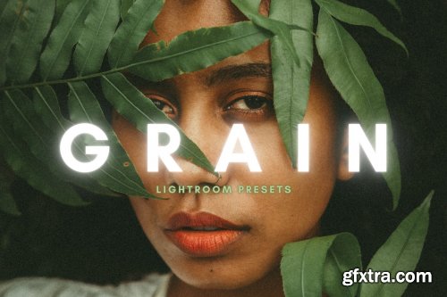 CreativeMarket - Grain Film Lightroom Presets 6051622