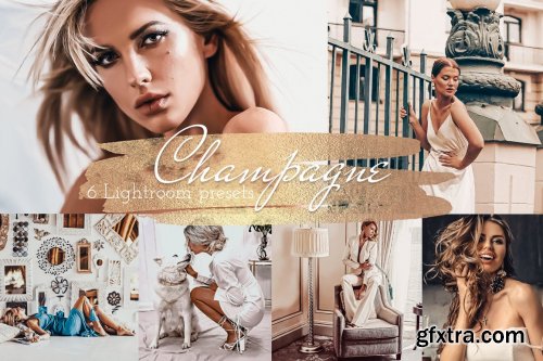  CreativeMarket - Champagne - Bundle Lightroom Presets 5874572