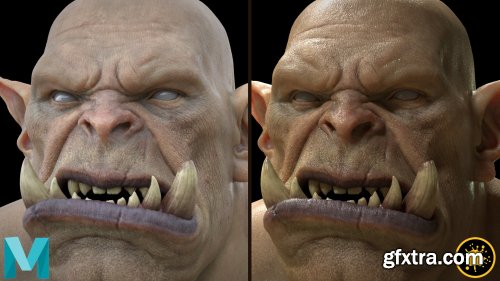 Mari and Maya - Skin Texturing And Shading For VFX