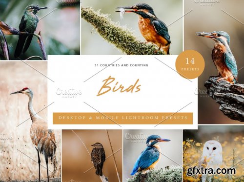 CreativeMarket - BUNDLE 09 Lightroom Collection X 75 6075962