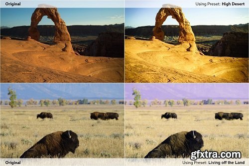 Brian Matiash - Big Country Preset Pack