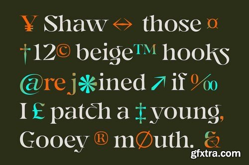 CM - Gegor Serif Display Font 6187832