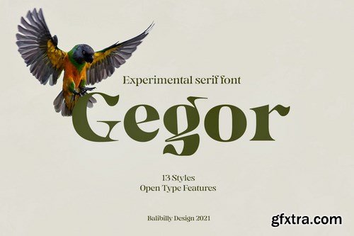 CM - Gegor Serif Display Font 6187832