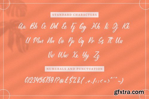 Warmtone - Instagram Font