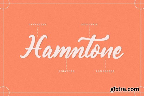 Warmtone - Instagram Font