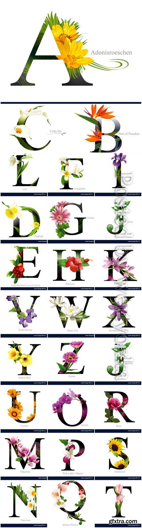 Alphabet with various flowers in vector