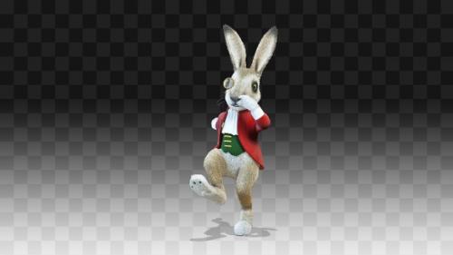 Videohive - Rabbit Oliver Tap Dance - 32376756 - 32376756