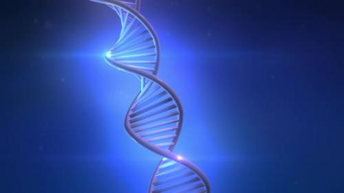 Videohive - DNA Strand 3D Model On Blue Background 4K - 32385870 - 32385870