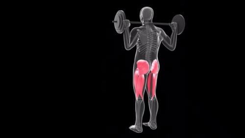 Videohive - Back View Of Alternate Front Lunges With Barbell - 32394824 - 32394824