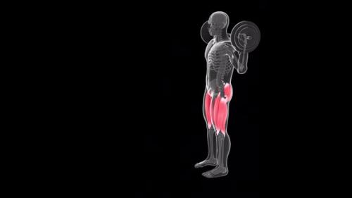 Videohive - Front View Of Alternate Front Lunges With Barbell - 32394826 - 32394826