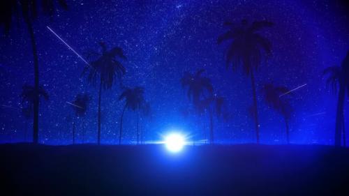 Videohive - Night Summer With Palm Background - 32441782 - 32441782