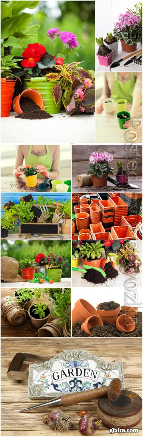 Gardening, flower pots stock photo