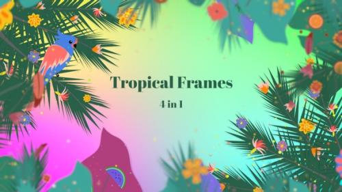 Videohive - Tropical Frames - 4 In 1 - 32470967 - 32470967