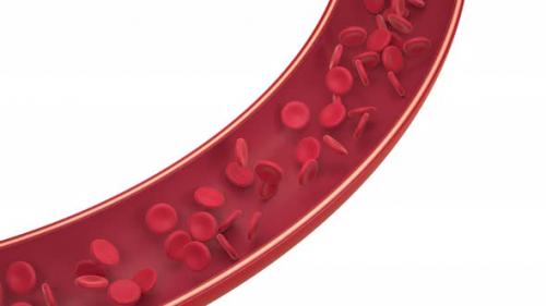 Videohive - Red and white blood cells in the blood vessel - 32485664 - 32485664