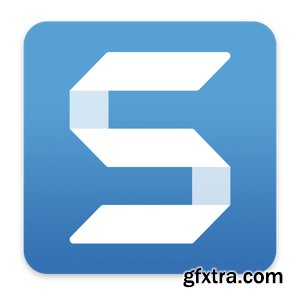 TechSmith Snagit 2020.2.4