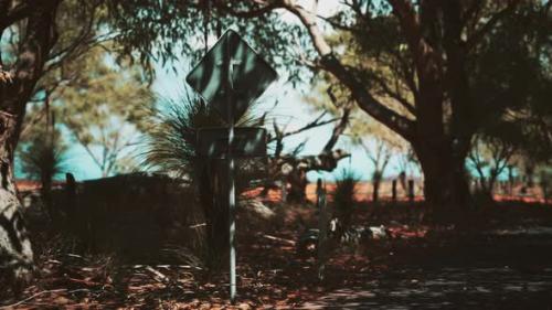 Videohive - Outback Road with Dry Grass and Trees - 32497690 - 32497690