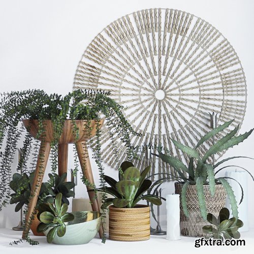 Plant decor set - 1