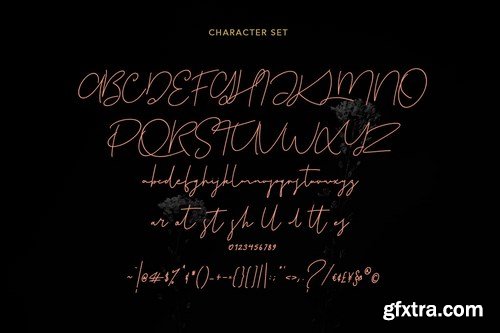 Treebirds Script Font