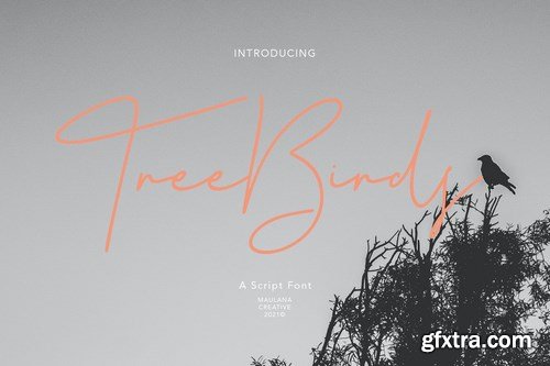 Treebirds Script Font