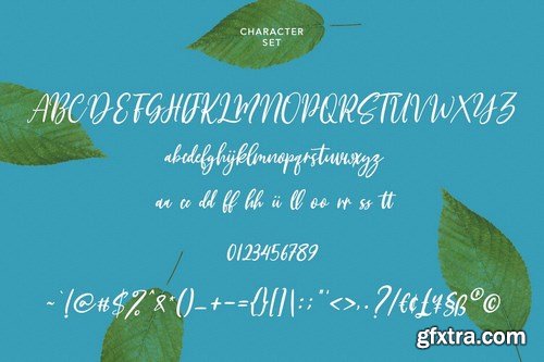 Dailytrust Script Font