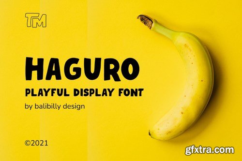 Haguro Bold Display Font