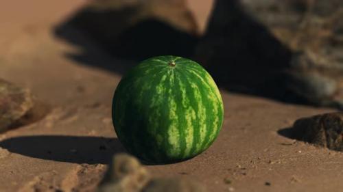 Videohive - Big and Juicy Watermelon on the Beach Sand - 32496651 - 32496651