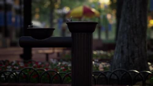 Videohive - Quiet City Park with Trees and Benches - 32496661 - 32496661