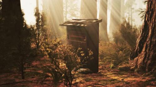 Videohive - Old Wooden Beehive in Forest in Fog - 32496753 - 32496753