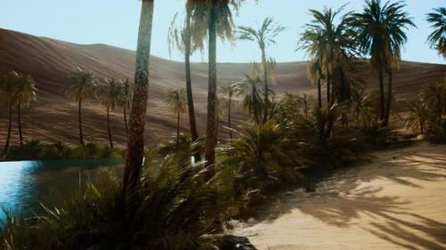 Videohive - Oasis with Palm Trees in Desert - 32496860 - 32496860