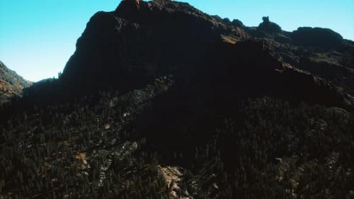 Videohive - Panorama of Cone Forest at Mountains - 32497492 - 32497492