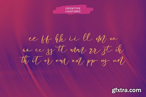 Bottomvega Beauty Script Font