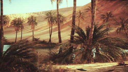 Videohive - Oasis in Hot Sahara Desert - 32550355 - 32550355