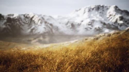 Videohive - Dry Grass and Snow Covered Mountains in Alaska - 32550409 - 32550409