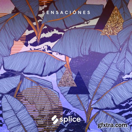 Splice Originals Sensaciones Latin RnB WAV