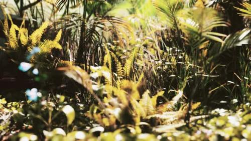 Videohive - Close Up Jungle Grass and Plants - 32550111 - 32550111