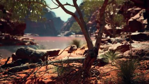 Videohive - Trees Near Colorado River in Grand Canyon - 32550955 - 32550955