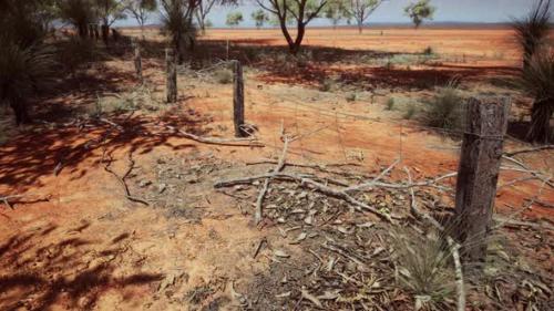 Videohive - Pampas with Barbed Wire Fence and Dry Bushes - 32551032 - 32551032