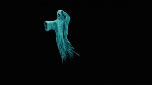 Videohive - 32 Ghost Halloween Dancing HD - 32558659 - 32558659