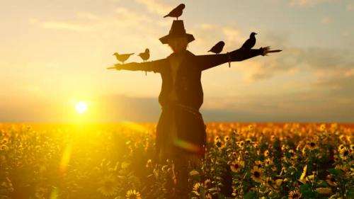 Videohive - Fearless Birds Standing on Scarecrow - 32567007 - 32567007