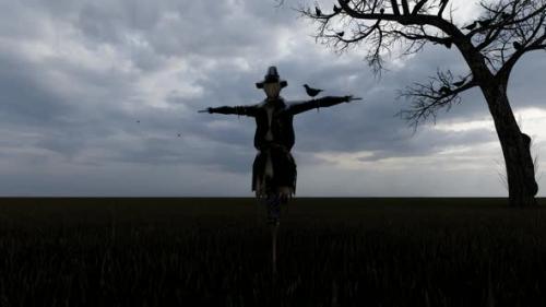 Videohive - Scarecrow and Fearless Bird Standing on it - 32567008 - 32567008