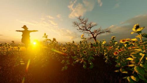 Videohive - Sunset View Scarecrow and Sunflower Field - 32567010 - 32567010