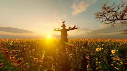 Videohive - Fearless Birds Standing on Scarecrow - 32567017 - 32567017