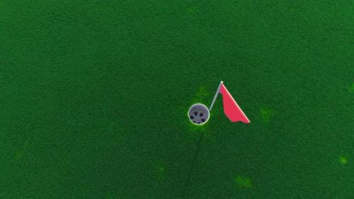 Videohive - a Golf Ball Rolls Across the Course Into a Hole Top View - 32569689 - 32569689