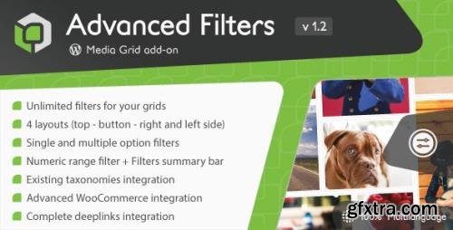 CodeCanyon - Media Grid - Advanced Filters add-on v1.3.0.1 - 21829031