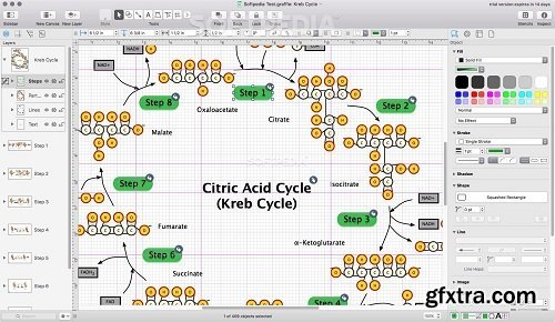 OmniGraffle Pro 7.18.3 Multilingual