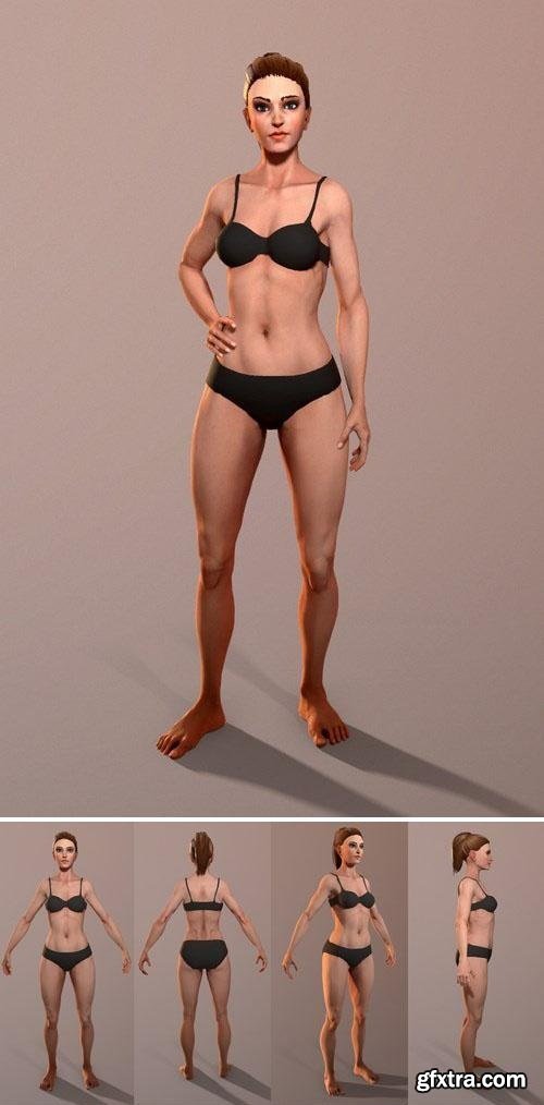 Female Anatomy 3d Model