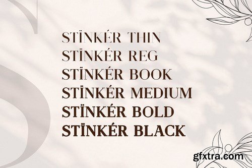 Stinker - Elegant Serif Family