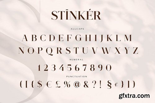 Stinker - Elegant Serif Family