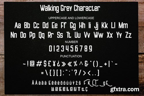 CM - Walking Grey 6223939